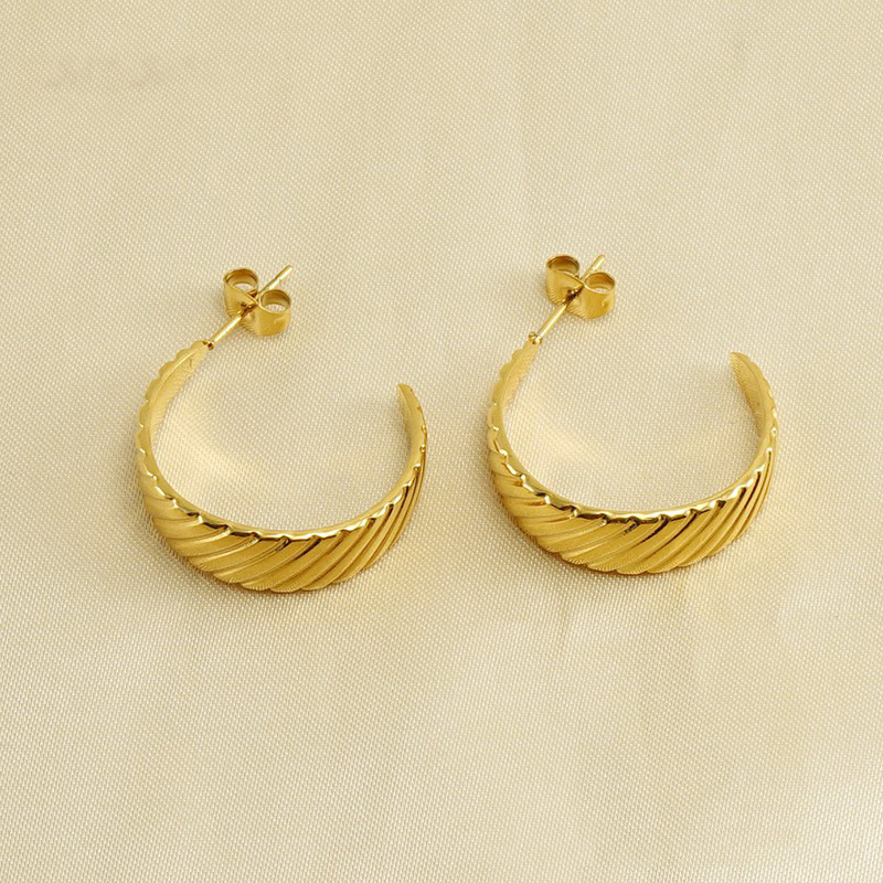 1 Pair Simple Series Classic Geometric Titanium Steel  Gold Color Women's Hoop Earrings h5 Picture3